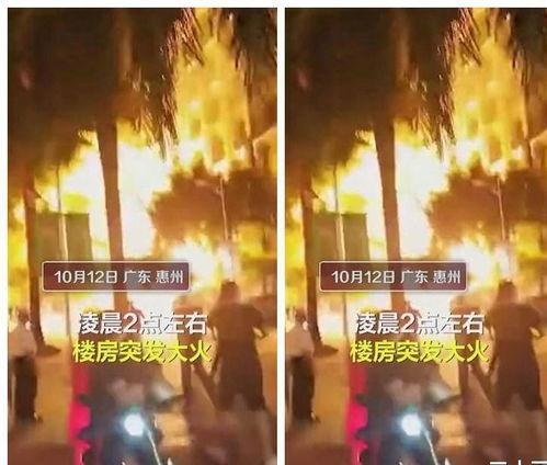 爆炸瓜视频 独家爆料喜相迎酒店,幕后真相大揭秘