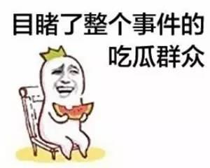 黑料热点入口免费入口 热心的朝阳群众吃瓜51,朝阳群众吃瓜51背后的故事